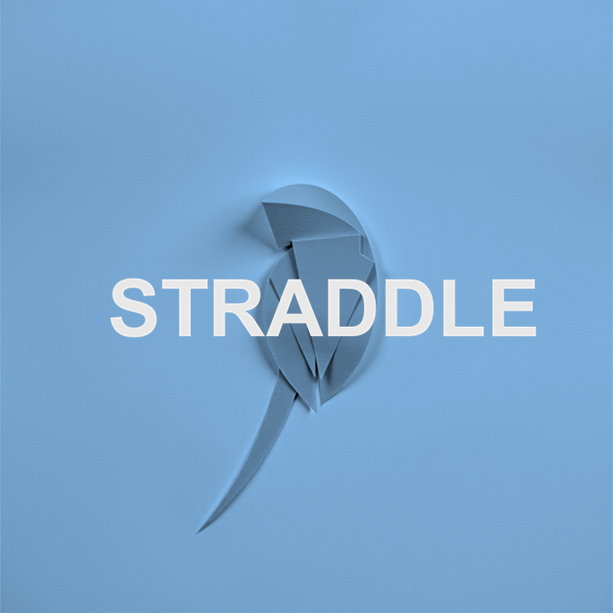 Estratégia de Opções Straddle: Guia Completo
