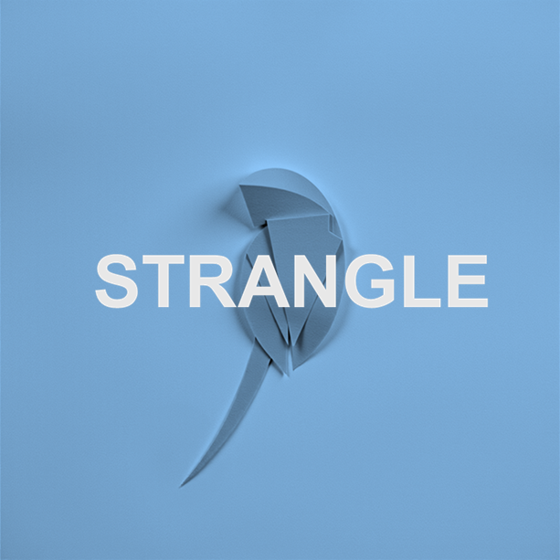 Estratégia de Opções Strangle: Guia Completo